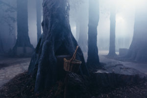 The Wood Beneath The World